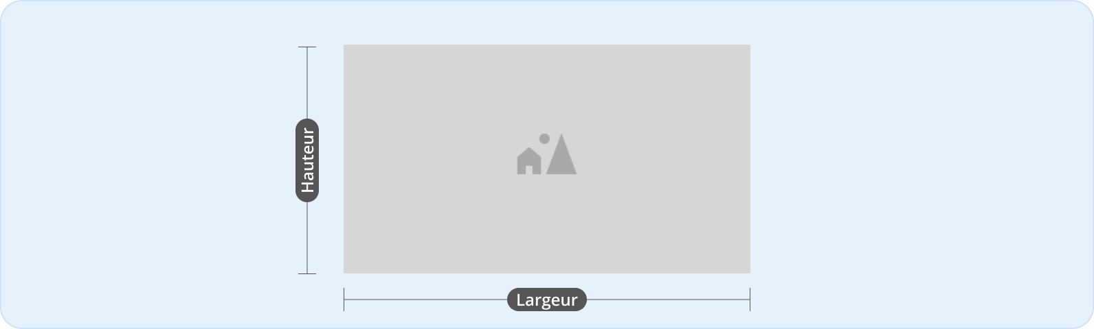 Image représentant l'anatomie d'un ratio d'image