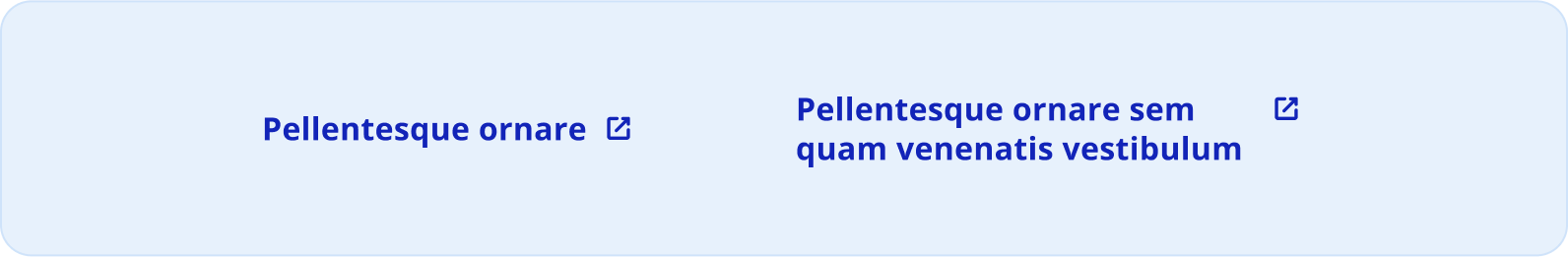 Image de l icone du bouton texte lorsque il y a un lien externe