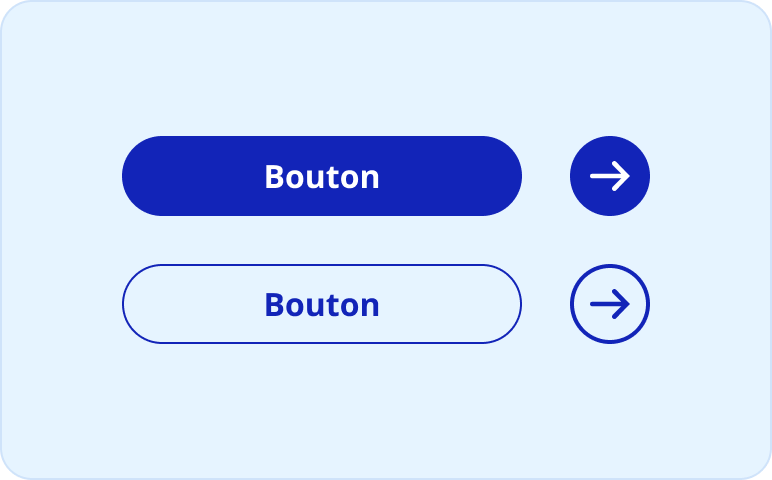 Bouton principal couleurs et style