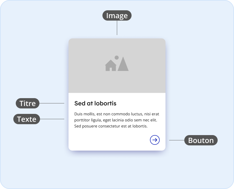 Image représentant l'anatomie d'une tuile informationnelle