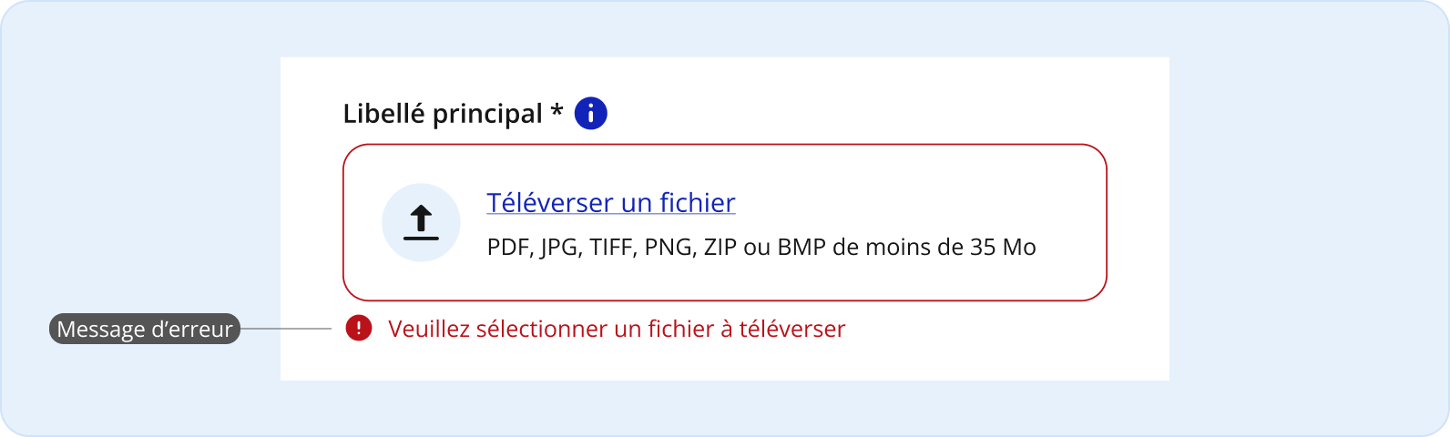 Image représentant l'utilisation d'un champ de téléversement de fichiers avec un message d'erreur standardisé
