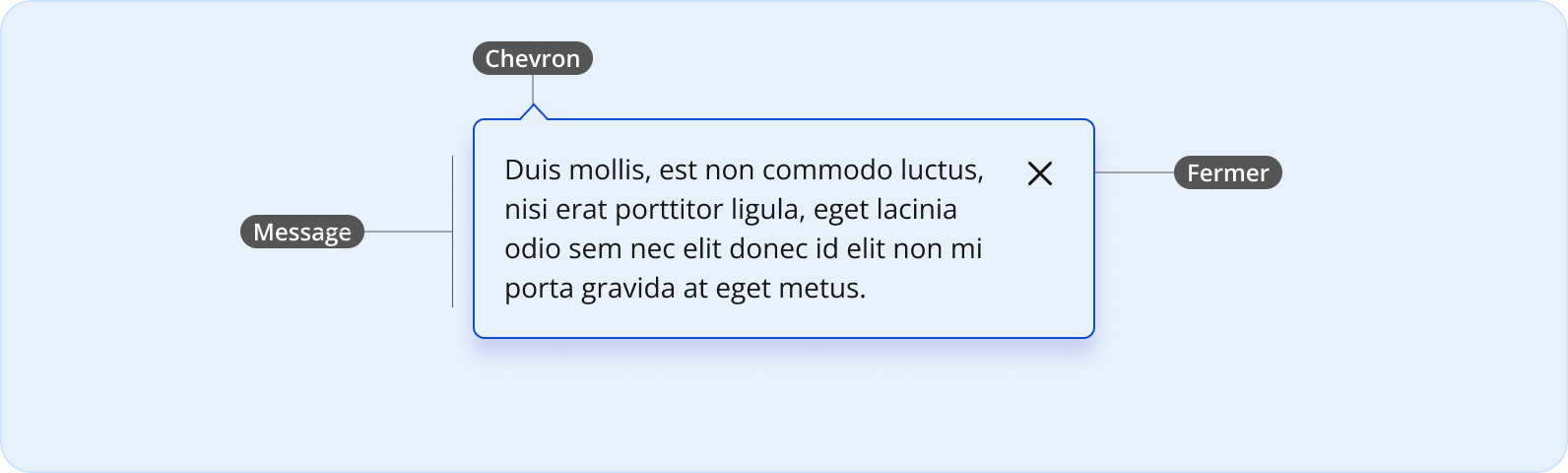 Image représentant l'anatomie d'une infobulle