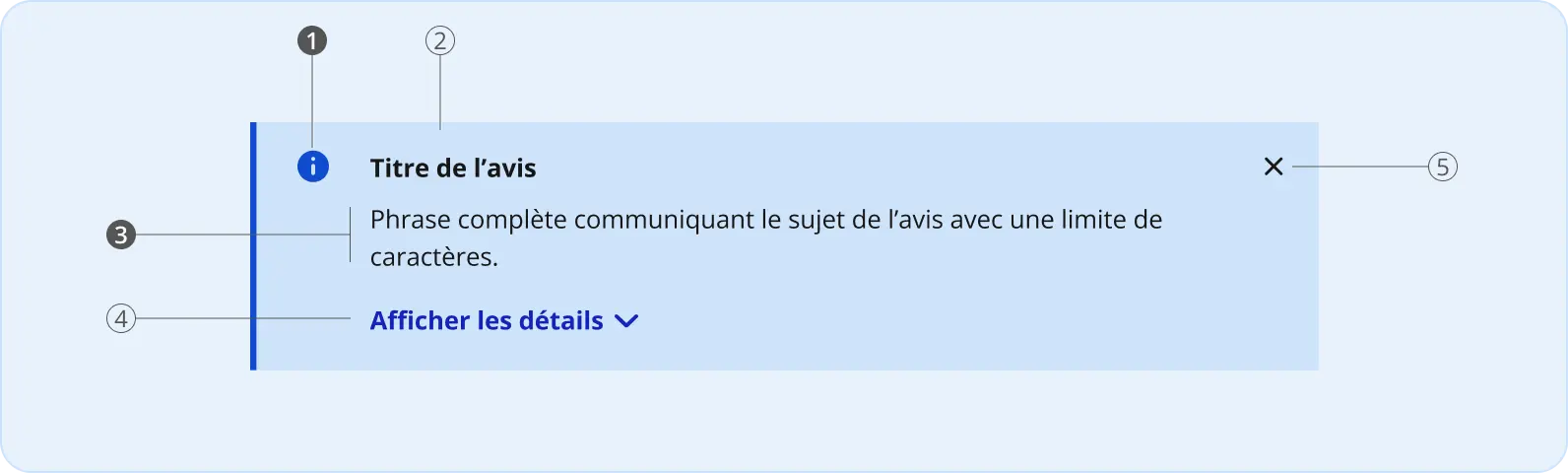 Image représentant l'anatomie d'un avis