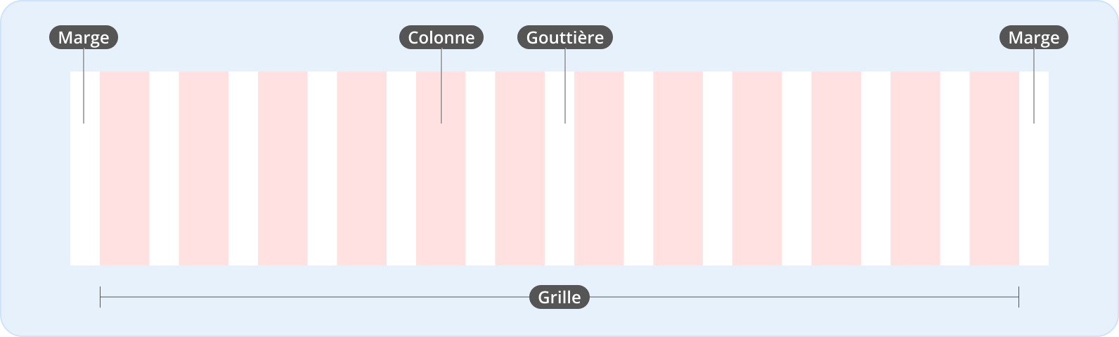 Image représentant l'anatomie d'une grille