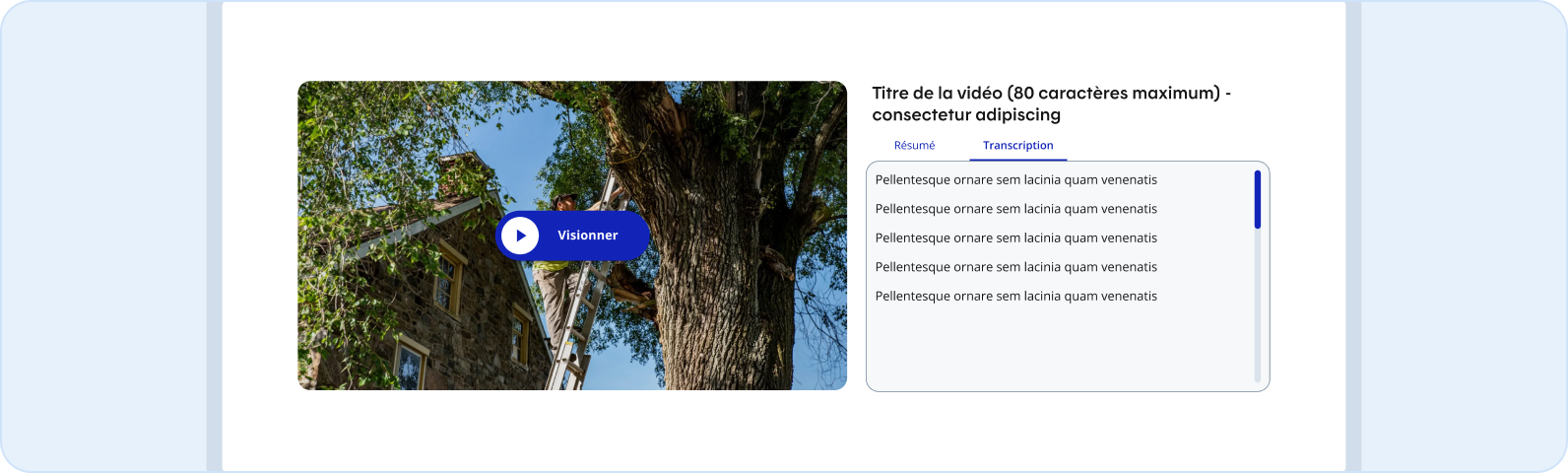 Image représentant les notes sur la transcription dans un vidéo standard.