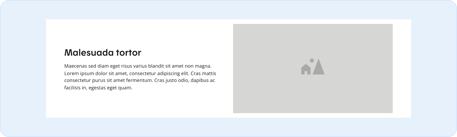 Image représentant l'anatomie d'un ratio d'image 1:69