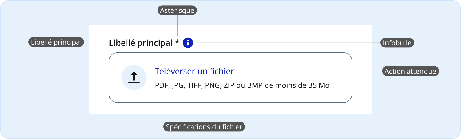 Image représentant l'utilisation par défaut d'un champ de téléversement de fichiers