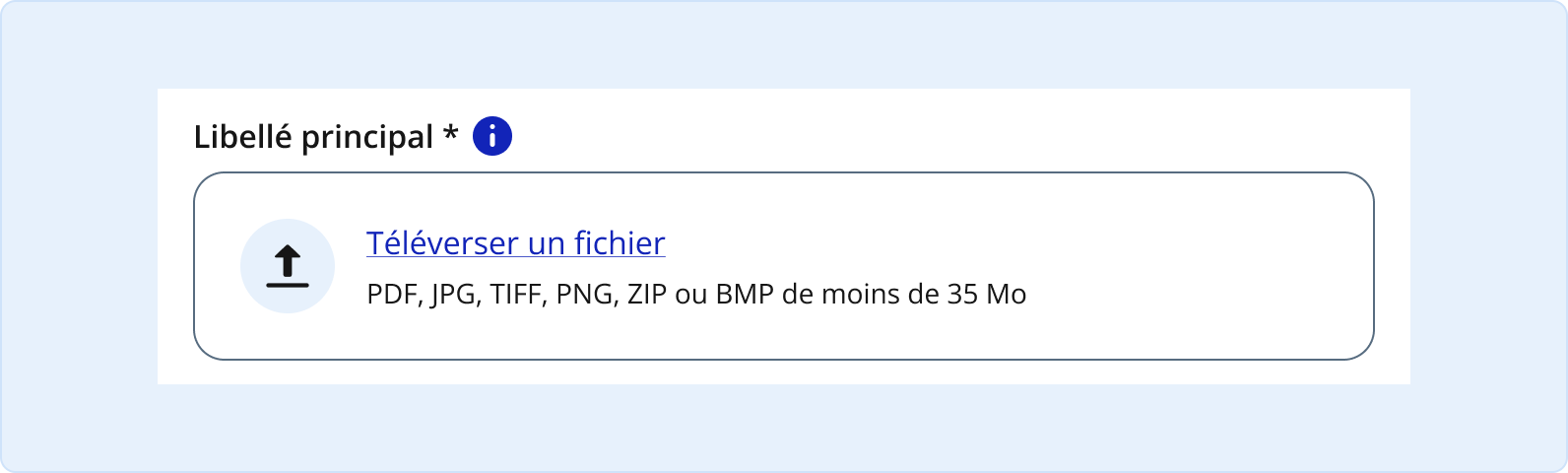 Image représentant l'utilisation d'un astérisque pour un téléversement de fichiers
