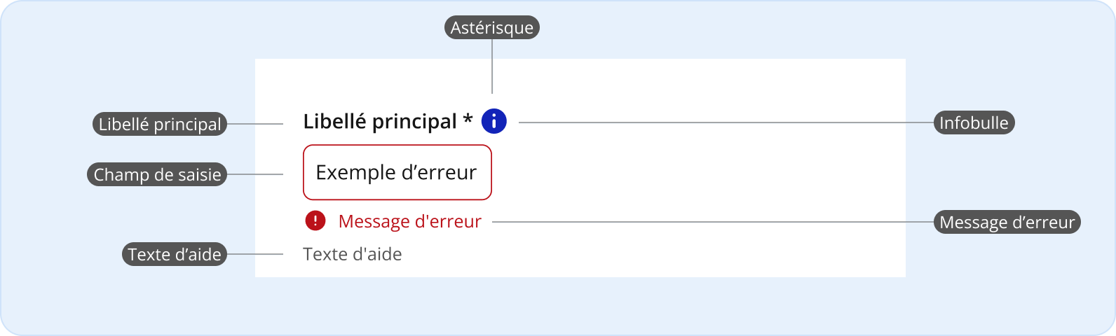 Image représentant l'anatomie du champ texte